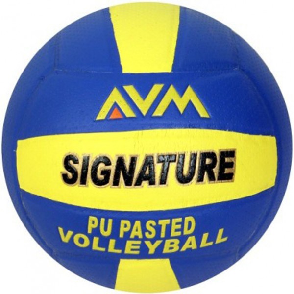 AVM Signature Volleyball